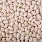 Посівмат квасолі з гарантією викупу врожаю.