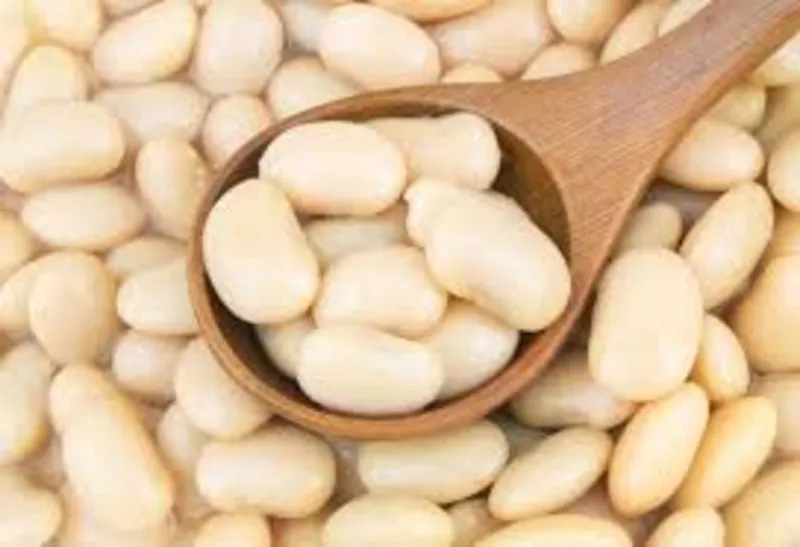  Компанія-переробник здійснює закупівлю квасолі